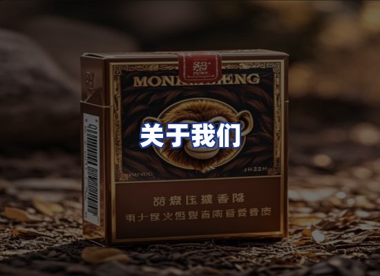 专业团队